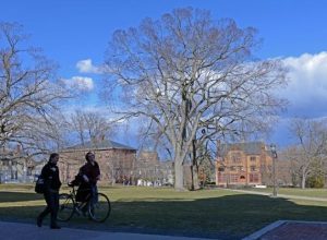 students early spring