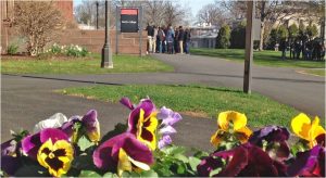 spring tours flowers